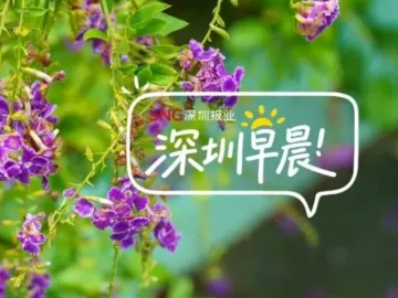 深圳早晨〔2026.10.16〕